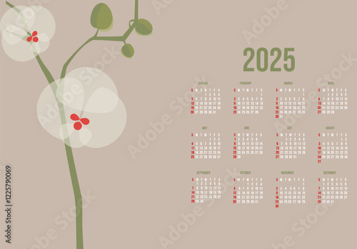 Calendar for 2025 year. Orchid on a beige background. Botanical illustration. Vector illustration