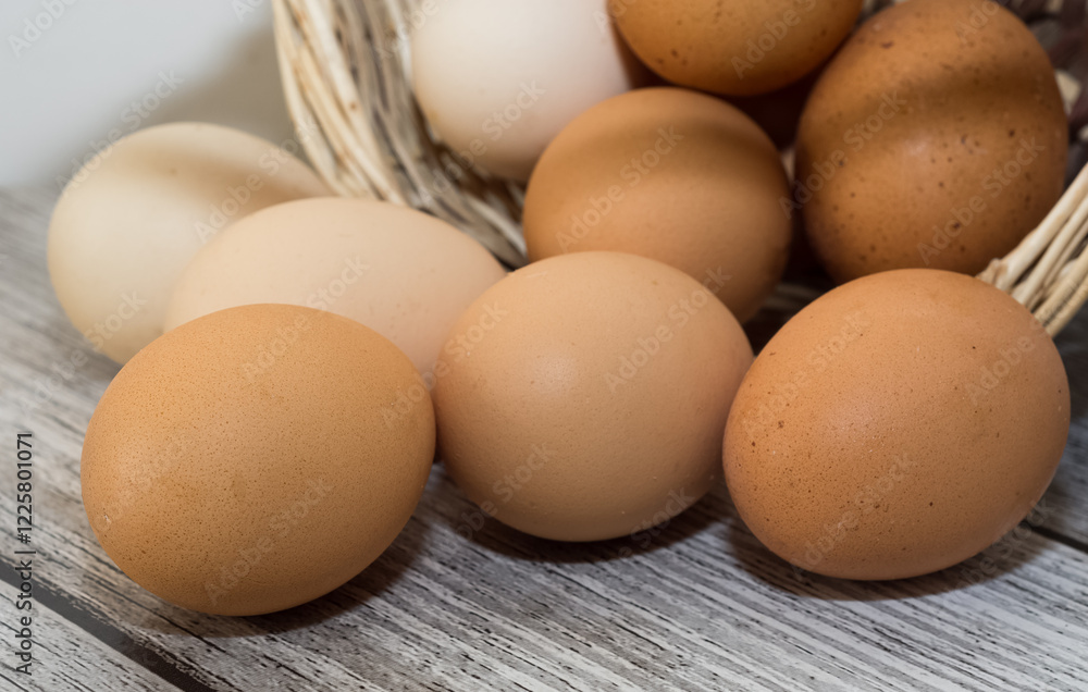 animal products, brown chicken eggs. animal products, brown chicken eggs.