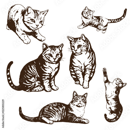 Set of sketch cats rubber stamps