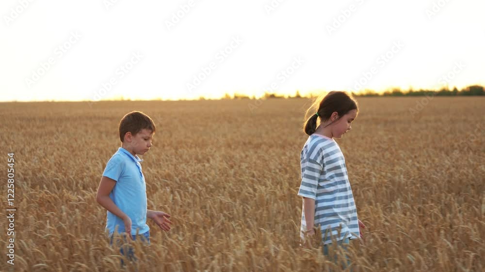 Calm happy children walking through wheat field at sunset. Boy child follows sister along yellow field in setting sun. Girl boy children kids peacefully quietly walking in field in nature outside. Calm happy children walking through wheat field at sunset. Boy child follows sister along yellow field in setting sun. Girl boy children kids peacefully quietly walking in field in nature outside.