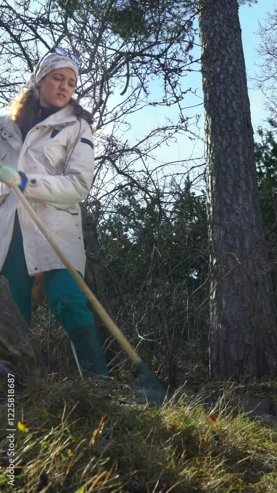 A woman pruning tree branches with a handsaw during spring gardening. Female gardener working carefully on a tree in a backyard. Seasonal gardening activities and sustainable yard care A woman pruning tree branches with a handsaw during spring gardening. Female gardener working carefully on a tree in a backyard. Seasonal gardening activities and sustainable yard care
