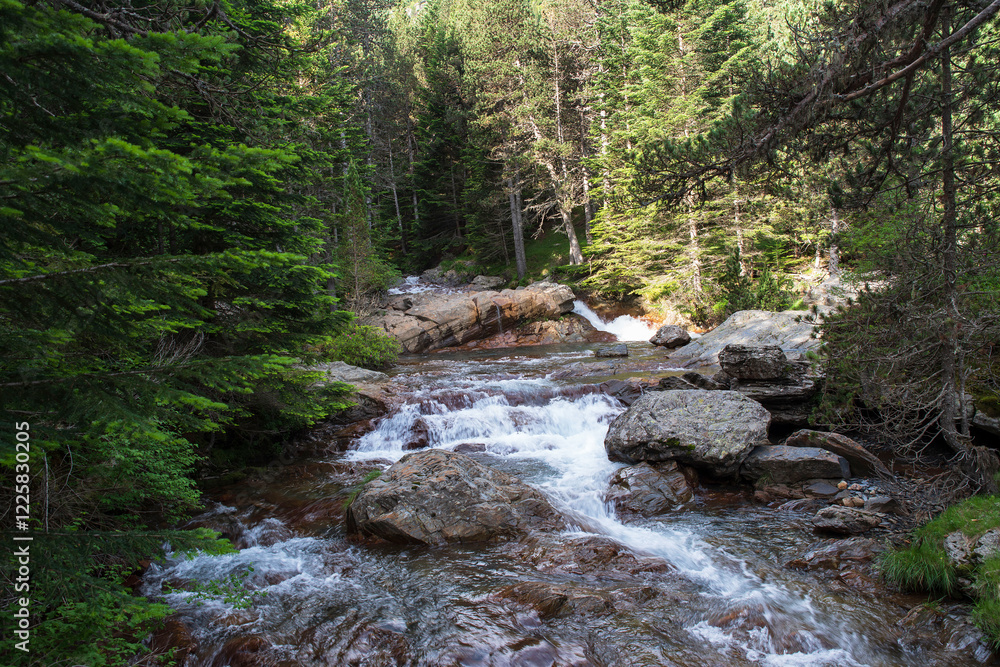 Mountain river in the forest of the Pyrenees in France Mountain river in the forest of the Pyrenees in France