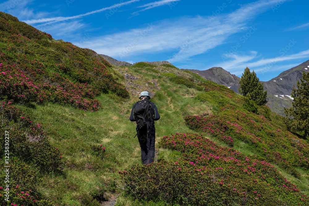 Fototapeta premium Mountain landscape in the Pyrenees, France, in spring, with an hiker 