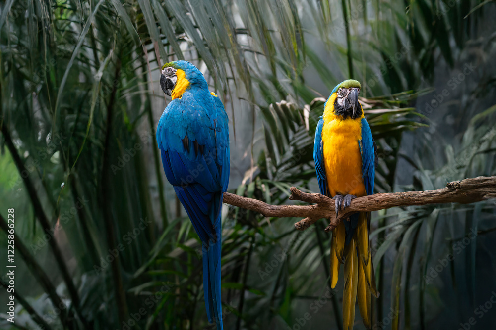 Obraz premium Generated image