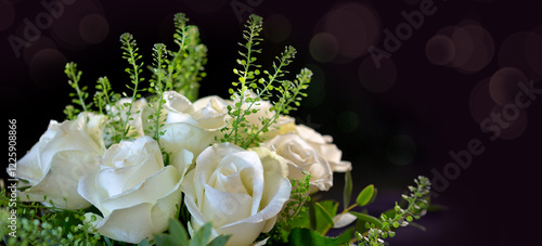 White roses with green leaves isolated on black background .