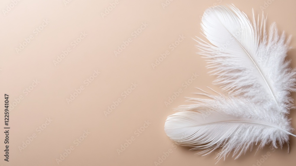 Obraz premium Two white feathers on beige background