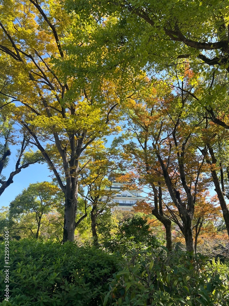 himeji castle in fall