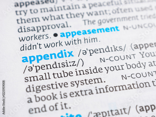 Canvastavla Close-up of a dictionary page with the word “appendix