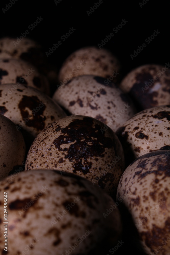 Obraz premium close up of chocolate chip