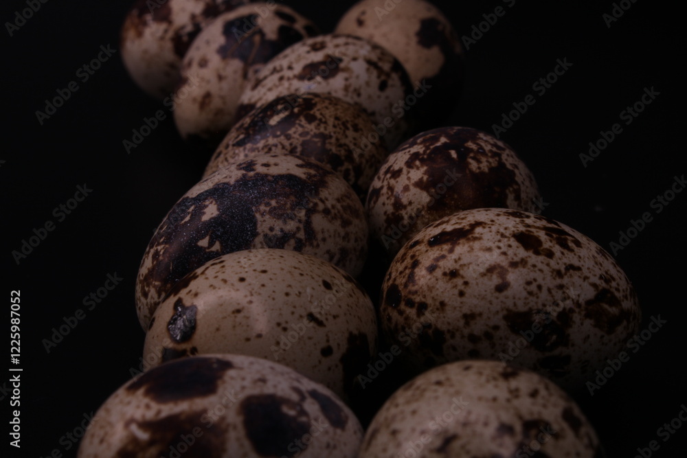 Obraz premium quail eggs