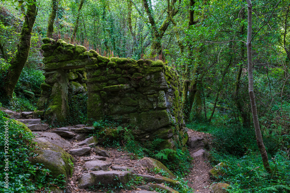 photographs seascapes of Galicia marine nature