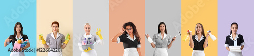 Set of different chambermai...