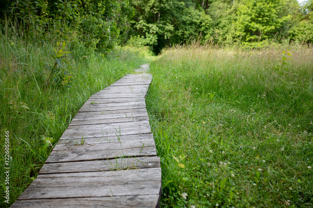 Obraz premium A Serene Wooden Pathway That Winds Through Lush Greenery, Perfect for a Relaxing Escape