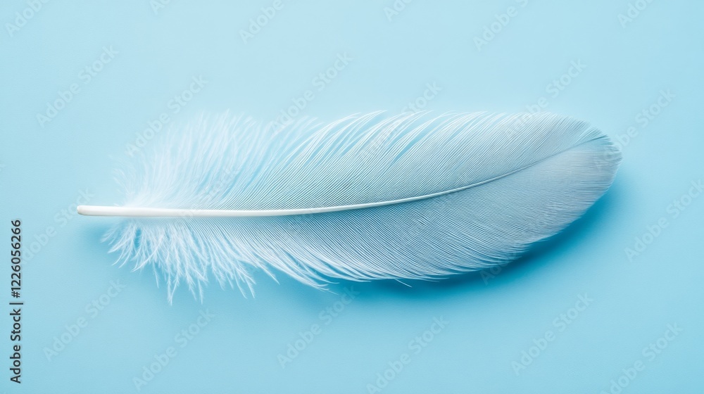 Obraz premium Single White Feather on a Light Blue Background