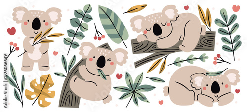 Cute koala baby animal cartoon characters holding eucalyptus leaves, sitting on branch, sleeping photo