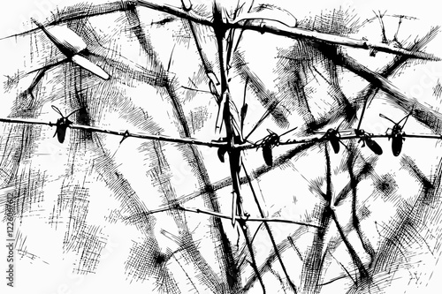 Insects Perched on Barbed Branch - Artistic Black and White Line Art Illustration of Nature for Wall Art & Digital Downloads