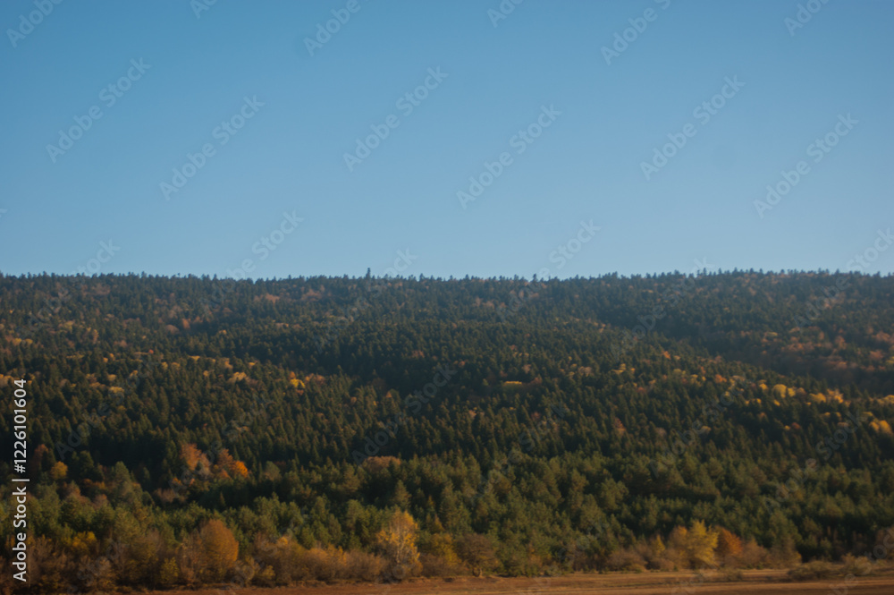 Naklejka premium SONY DSC