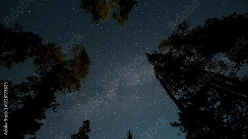 Time Lapse footage of Stars pass in night sky over forest trees, leads to sunrise. 