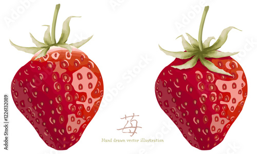 苺のイラスト素材