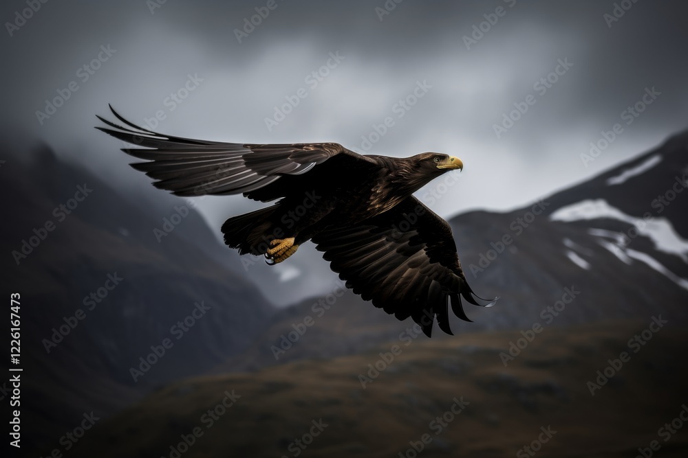 Obraz premium A dramatic portrait of a powerful eagle soaring gracefully over mist-shrouded, rugged mountains, symbolizing freedom, strength, and the beauty of nature.