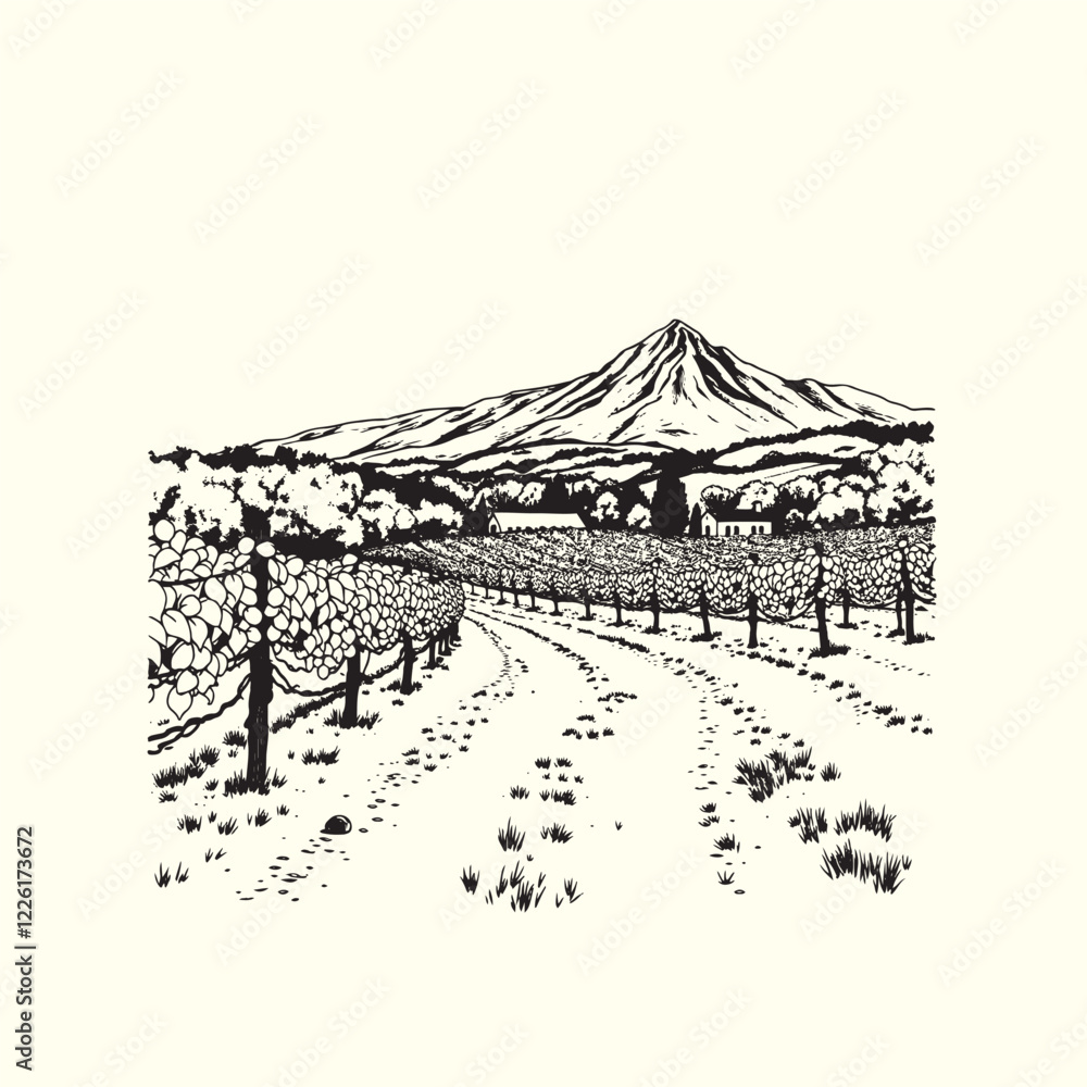 Vineyard vector hand-drawn illustration Vineyard vector hand-drawn illustration