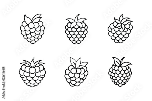 raspberries line art vector illustration