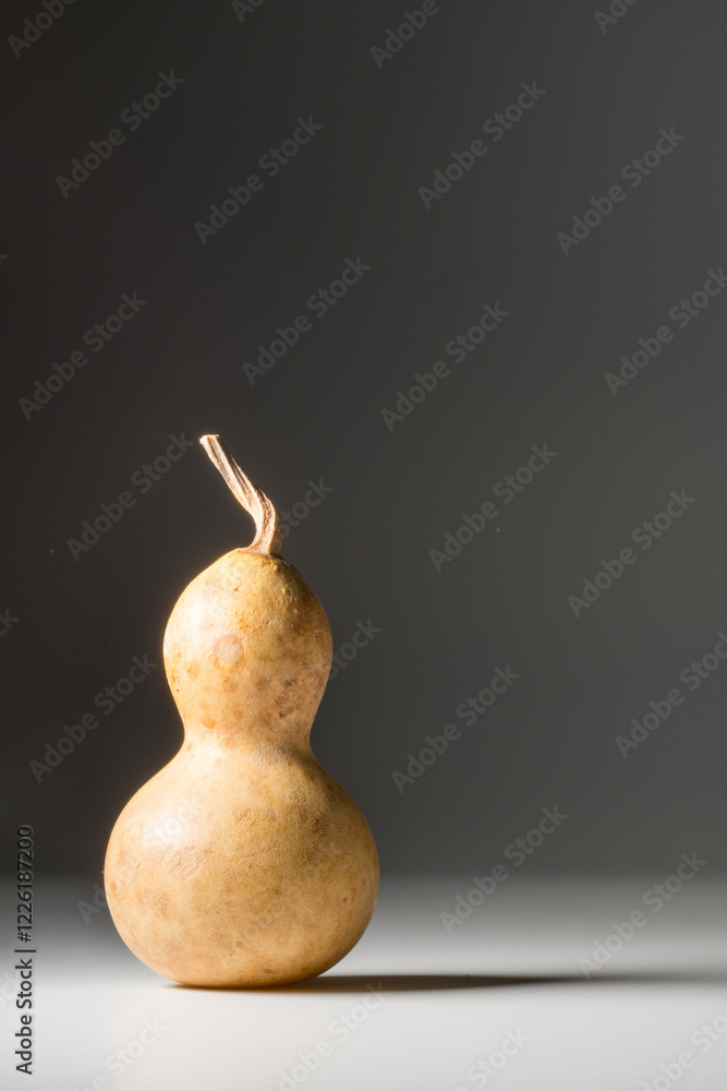 瓢箪 ひょうたん ヒョウタンの写真