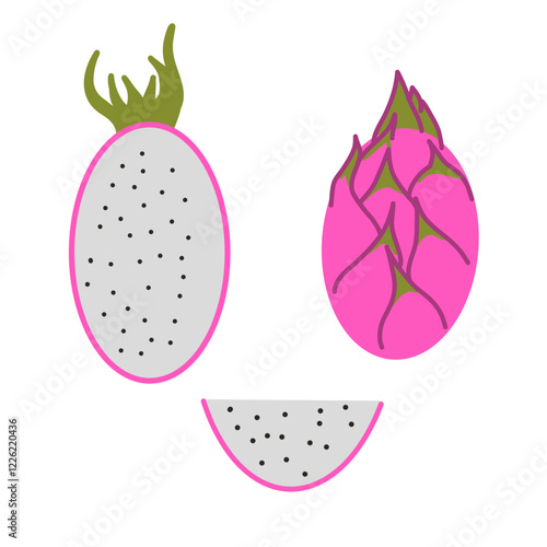 A set of vector illustrations of the dragon fruit.