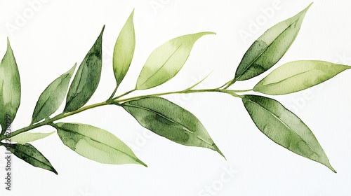 Elegant Watercolor Painting of Delicate Green Leaves and Branch