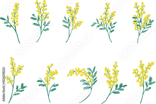 ミモザのベクターイラスト。春のミモザ装飾背景。黄色いミモザの植物背景フレーム。Mimosa vector illustration. Spring mimosa decoration background. Yellow mimosa plant background frame.