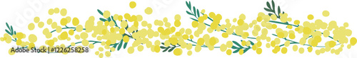 ミモザのベクターイラスト。春のミモザ装飾背景。黄色いミモザの植物背景フレーム。Mimosa vector illustration. Spring mimosa decoration background. Yellow mimosa plant background frame.