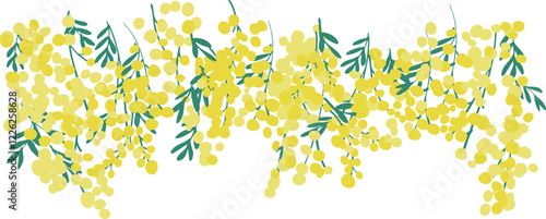 ミモザのベクターイラスト。春のミモザ装飾背景。黄色いミモザの植物背景フレーム。Mimosa vector illustration. Spring mimosa decoration background. Yellow mimosa plant background frame.