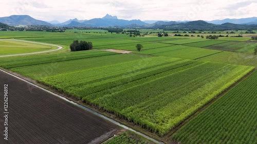 Aerial View of Sugar Cane Fields photo