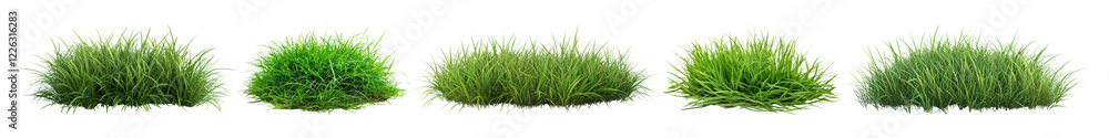 Obraz premium PNG Photo of grass bush, element set on transparent background