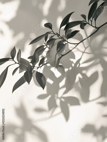 Wallpaper Mural Monochrome photo of plant branch casting shadows on a wall. Torontodigital.ca