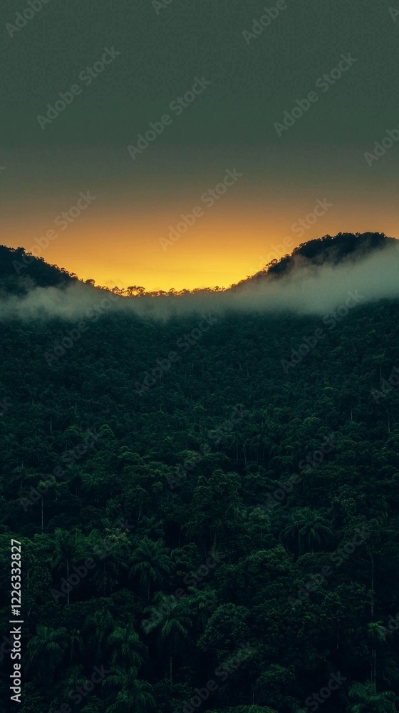Obraz premium Lush Jungle Sunrise Aerial View of Tropical Rainforest