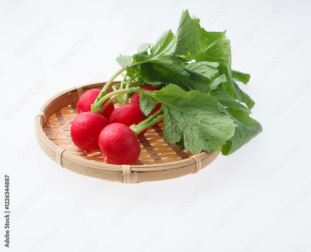 ラディシュ 野菜 ラディシュ 野菜