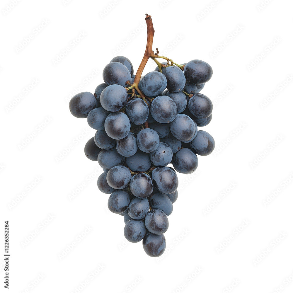 Luscious Bunch of Grapes: A stunning close-up shot of a ripe, juicy bunch of dark grapes, showcasing their rich color and texture. Luscious Bunch of Grapes: A stunning close-up shot of a ripe, juicy bunch of dark grapes, showcasing their rich color and texture.