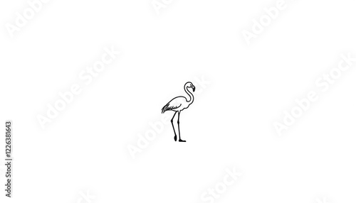 Flamingo Line Art Minimalist photo