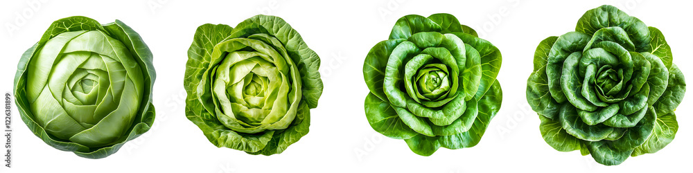 Obraz premium Set of a lettuce leaf, isolated on a transparent background.