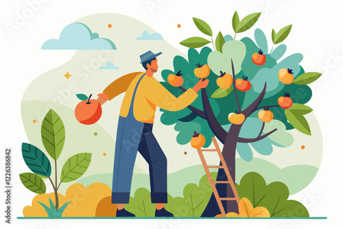 A man picking fruits from a tree