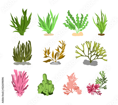 Set of underwater sea plants