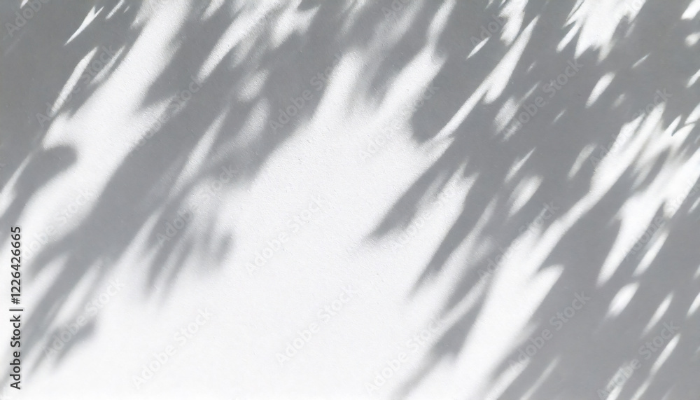 Minimal Abstract Expression of Leaf Shadows on a White Wall Minimal Abstract Expression of Leaf Shadows on a White Wall