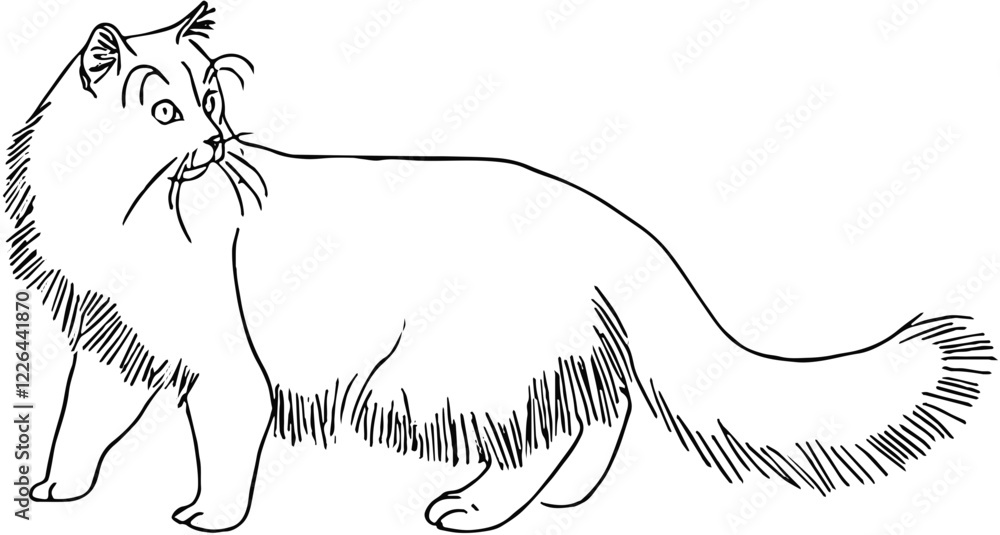 Obraz premium illustration of silky fluffy cat