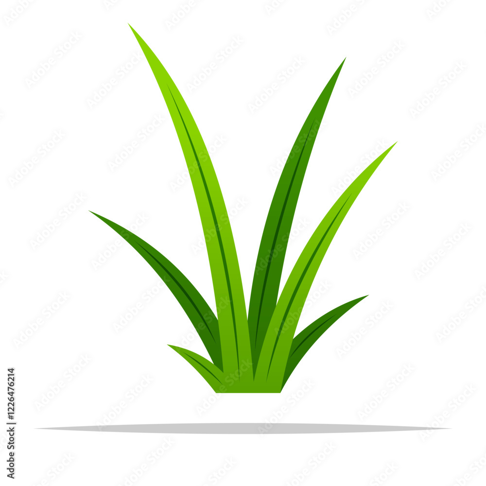 Obraz premium Single tall grass vector isolated illustration