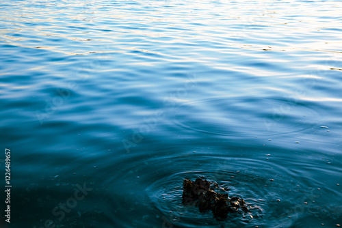water surface with ripples and oysters 