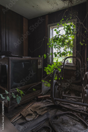 Abandoned Room with Overgrown Plants and Decaying Furniture