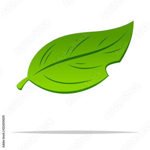 Single green leaf vector isolated illustration