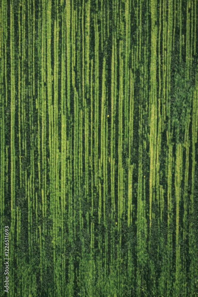 Aerial View of Verdant Agricultural Fields Aerial View of Verdant Agricultural Fields