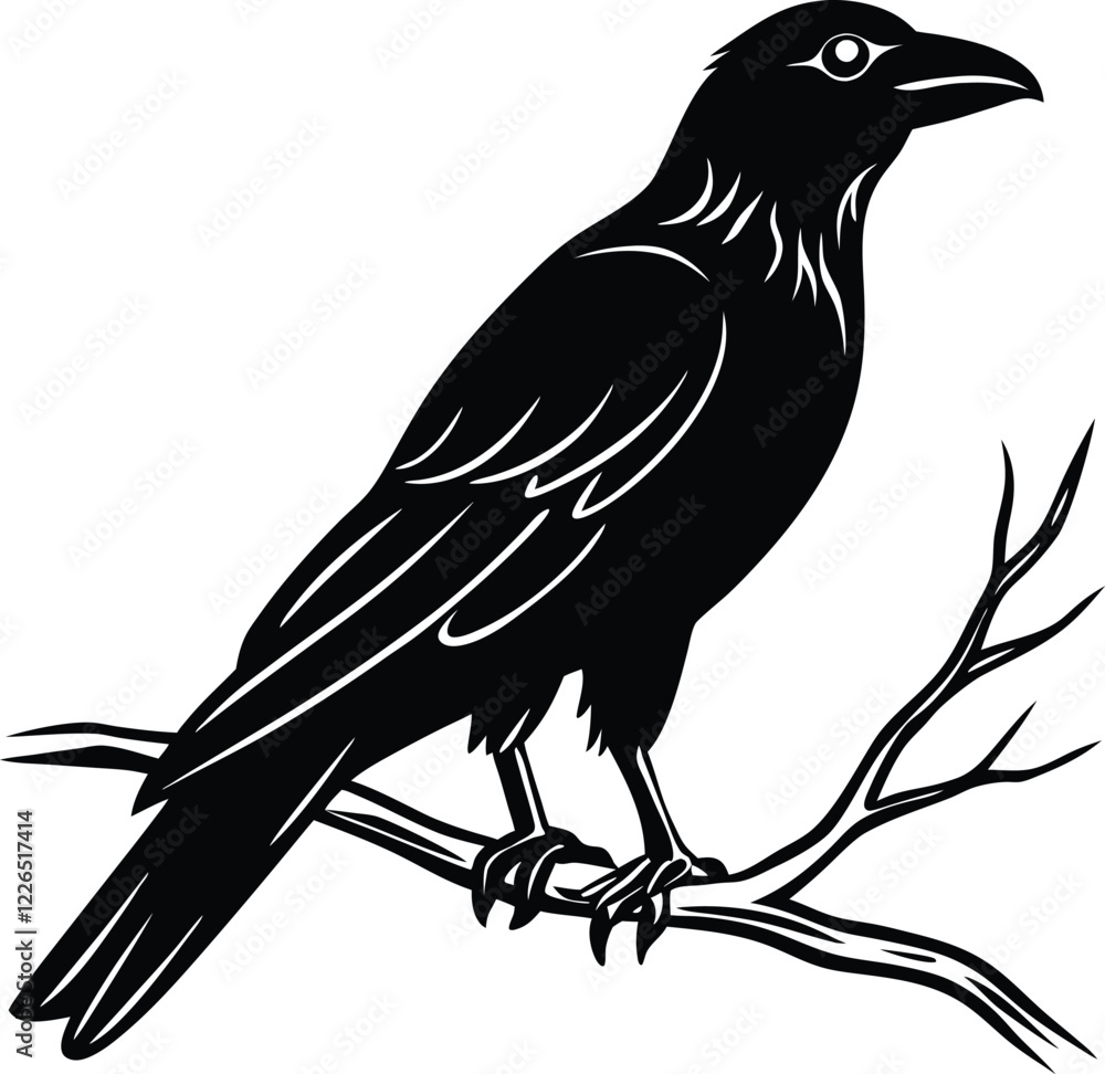 Fototapeta premium A raven silhouette on a tree branch.